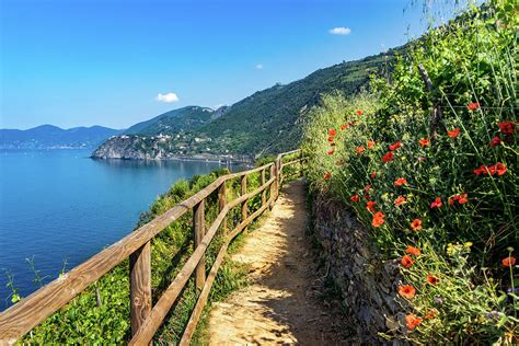 Cinque Terre Hiking Trail Photograph By Carolyn Derstine Pixels