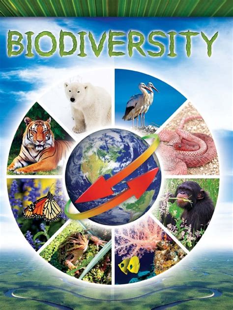 Biodiversity Ebook Biodiversity Biomes Creative Posters