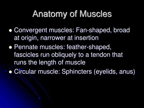 Muscle Intro Functions Of Muscles Ppt Download