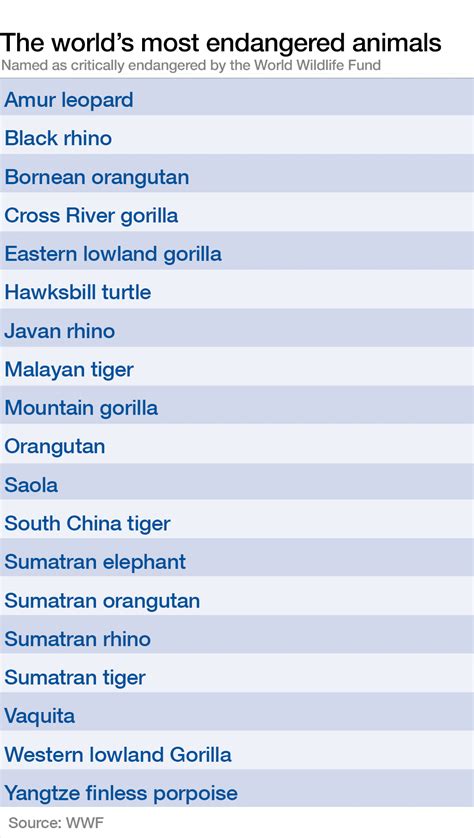 These Are The Worlds 19 Most Endangered Animals World Economic Forum