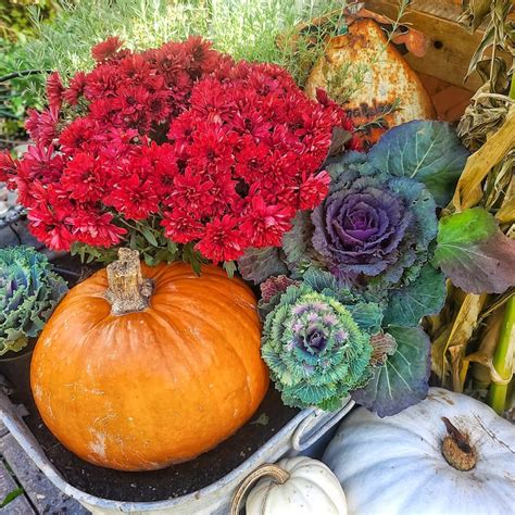 8 Fall Gardening Tips And Tricks For A Successful Year Round Garden