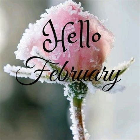 Ice Flower February Quote February February Quotes Hello February