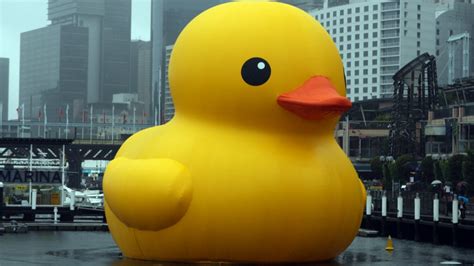In Defence Of The 120000 Giant Inflatable Rubber Duck