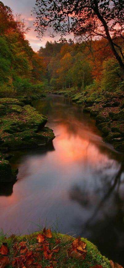 River Wharfe At Bolton Abbey In The Yorkshire Dales United Kingdom