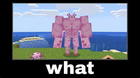 Minecraft Wait What Meme Part 1 Buff Axolotl Youtube