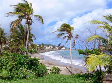 Sainte anne is the popular city on this windward island located south of dominica. Fotos - Paisajes de Martinica - 89 imágenes de calidad en ...