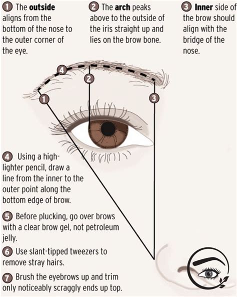 Eyebrowstutorial Perfect Eyebrows Eyebrow Makeup Brows