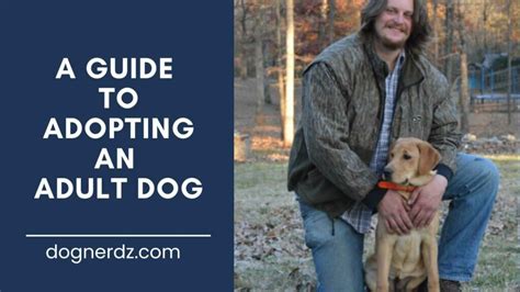 A Guide To Adopting An Adult Dog Dog Nerdz