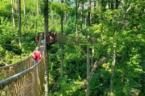56 Fun Things To Do In Gatlinburg Tennessee Tourscanner