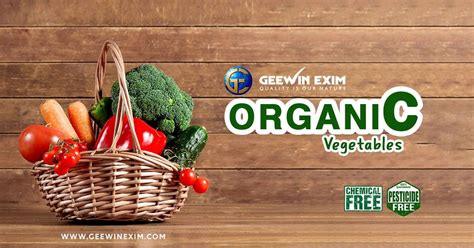 Organic Vegetables Export Vegetables Organic Vegetables Fresh