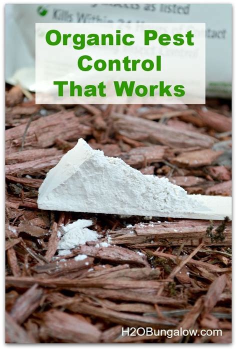 Cockroaches are the ultimate pest inside and outside the home, they are incredibly elusive and resilient to most pest control su. Diatomaceous Earth For Organic Pest Control | Pest control ...