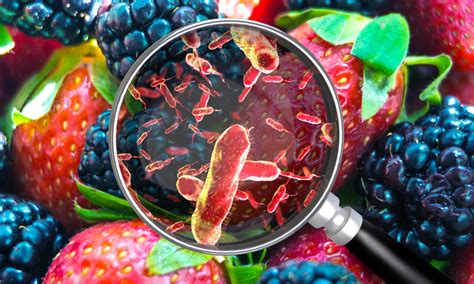 What You Need To Know About Foodborne Illnesses Gaafp