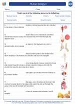 2013 released staar biology test 2013 answer key. Human biology II. High School Biology Worksheets and ...