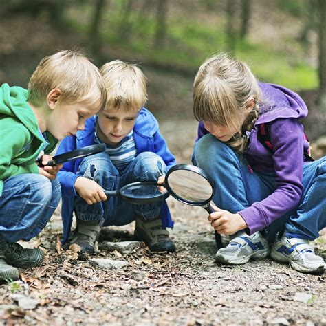 Outdoor Curriculum For Young Children Open Classroom Sonoma State