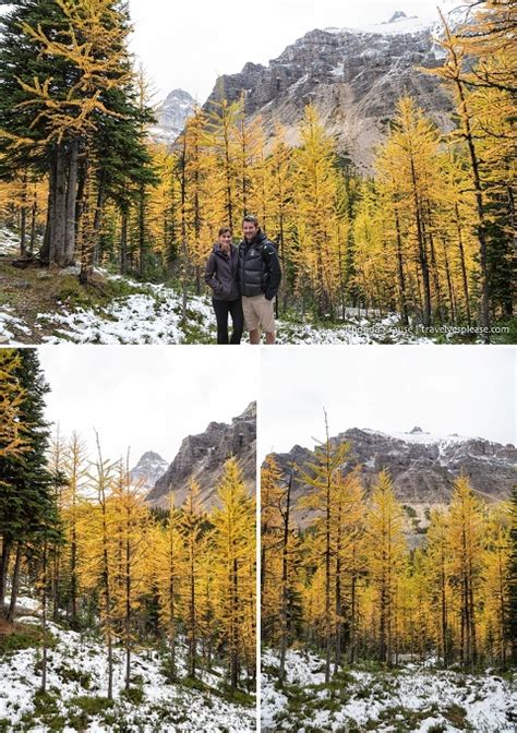 Larch Valley Hike Banff National Parks Most Beautiful Autumn Hike