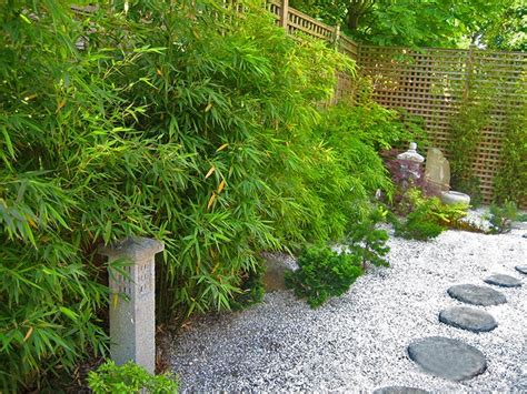 Japanese Bamboo Garden Design