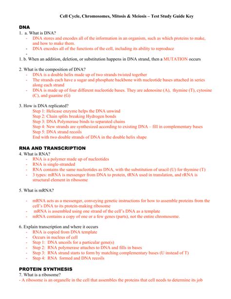 Cell membrane coloring worksheet answer key. Study Guide Dna Rna And Protein Synthesis Worksheet | Kids ...
