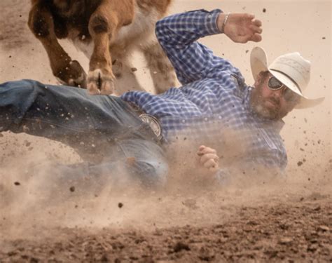 Steer Wrestling At The Tucson Rodeo And He Kept His Hat On Flickr