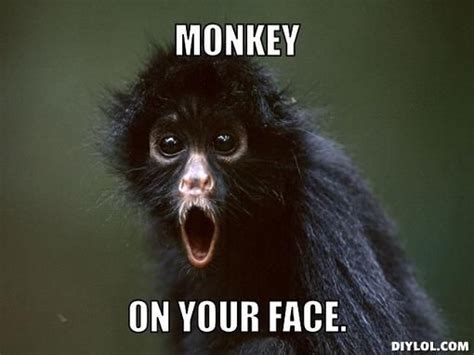 Funny Monkey Memes Spidermonkey Meme Generator Diy Lol