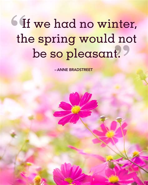 The Sweetest Spring Quotes To Welcome The Season Of Renewal