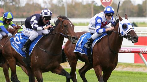 Dna Has Danny Obrien Cautious About Winter Options With Caulfield