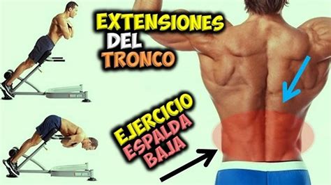 Ejercicio Para Espalda Baja Extensiones Del Tronco Aumentar Musculos