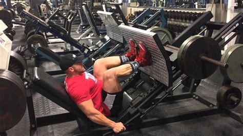 Best Leg Press Machines For Both Commercial And Home Use Fitlifefanatics