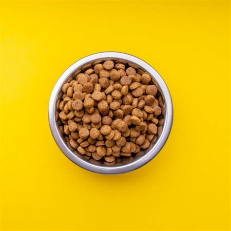 Top 10 Hypoallergenic Dog Food Of 2020 Review Herepup