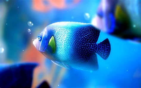 Desktop Fish Wallpapers Pixelstalknet