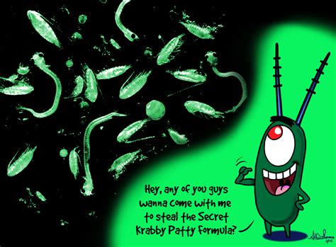 O Plankton Do Bob Esponja é Que Animal
