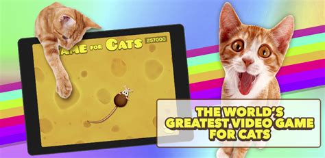 Game For Cats Uk Apps And Games