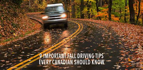 9 Fall Driving Tips You Should Never Ignore Conte Lawyers