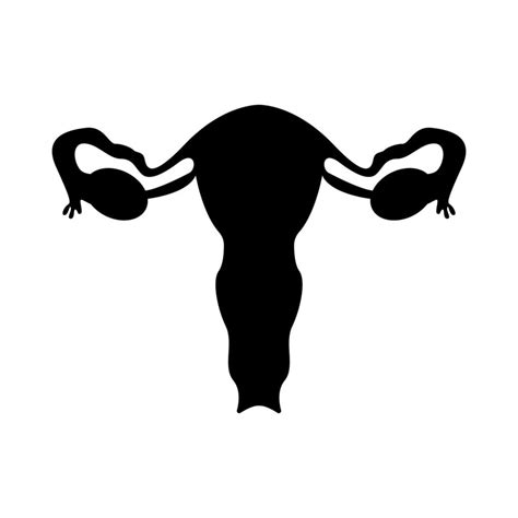 silhouette des organes génitaux féminins illustration vectorielle