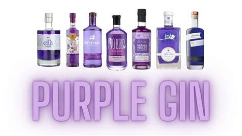 Purple Gin How The Colorful Spirit Gets Its Shade Who Makes It And