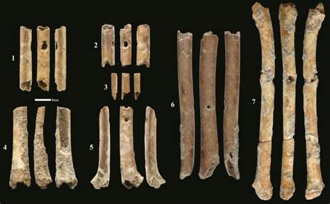 Instruments From 9000 Bce Real Archaeology