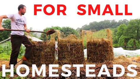 14 Homesteading Ideas You Can Do Now Without Land 14 Acre Or Less