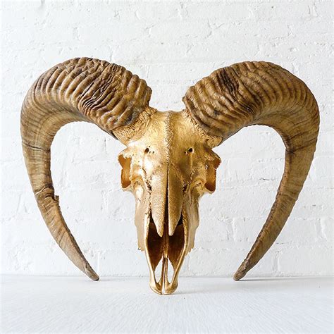 I Liked This Design On Fab Gold Ram Skull 24k Ram Skull Skull
