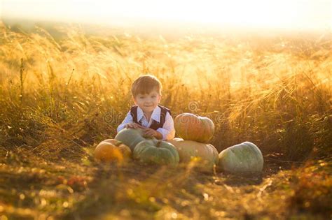 Cute Boy Enjoying Autumn Time Little Boy With Pumpkins For Halloween