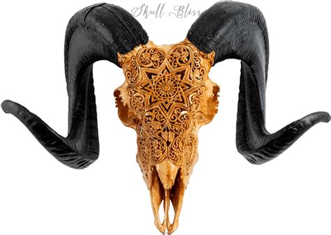 Download Carved Ram Skull Horn Clipart Png Download Pikpng