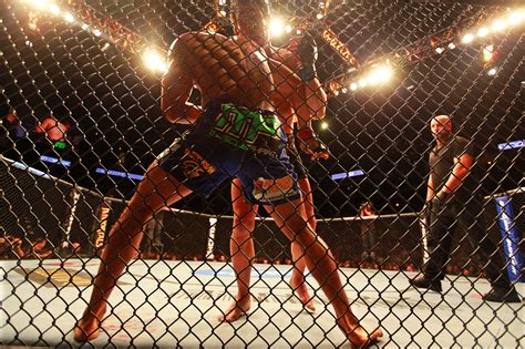 Ultimate Fighting Championship Goes Mainstream With Bout On Fox