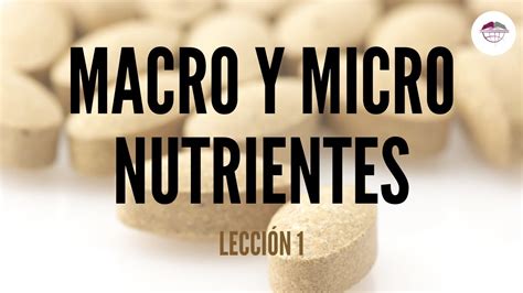 1 Conceptos BÁsicos De AlimentaciÓn Macro Y Micronutrientes