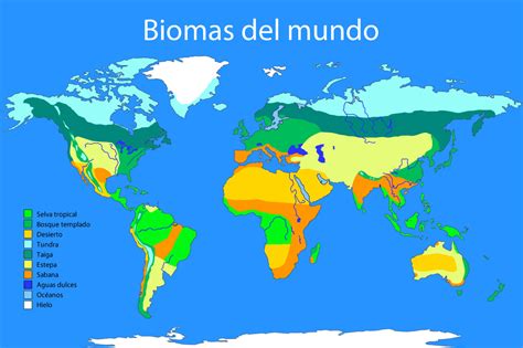 Top Tipos De Biomas Imagenes Destinomexico Mx