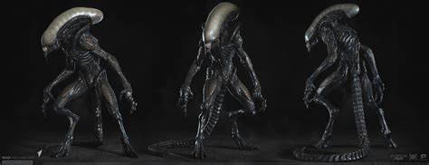 Xenomorph Runner Alternate Views By Hyb1rd 1982 On Deviantart