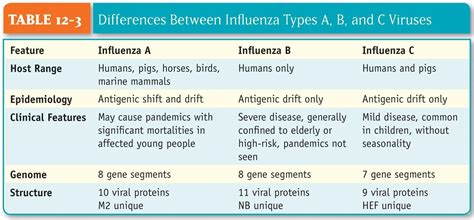 Influenza antigen preparation varies between manufacturers. Biology 123 > Rao > Flashcards > Influenza | StudyBlue