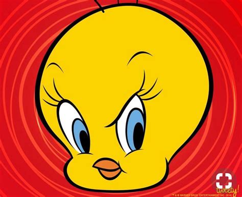 Tweety Bird Baby Looney Tunes Looney Tunes Cartoons Xmas Pictures