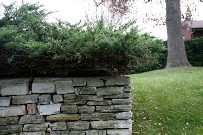 Take the project a step further by constructing the wall to support plant life and become a living wall! How to Lay Landscaping Fabric Behind a Retaining Wall ...