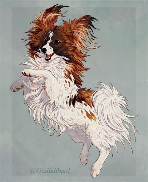 Papillon Im Not Sure Why But I Really Like To Draw Small Dog Breeds