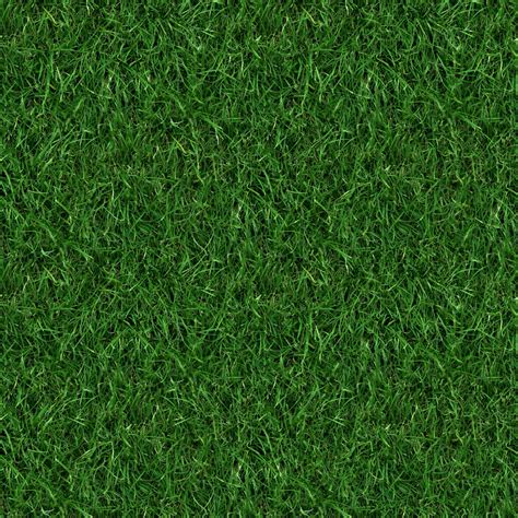 High Resolution Textures Grass 4 Seamless Turf Lawn Green Ground