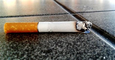 s porean man gets s 3 600 fine and 12 hours of cwo for throwing cigarette butt on the ground
