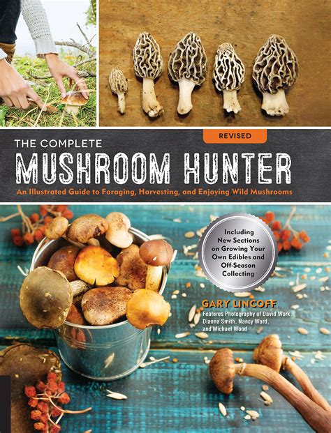 Best Mushroom Identification App All Mushroom Info
